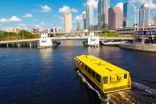 Tampa Bay Hits the Streets with Sunshine