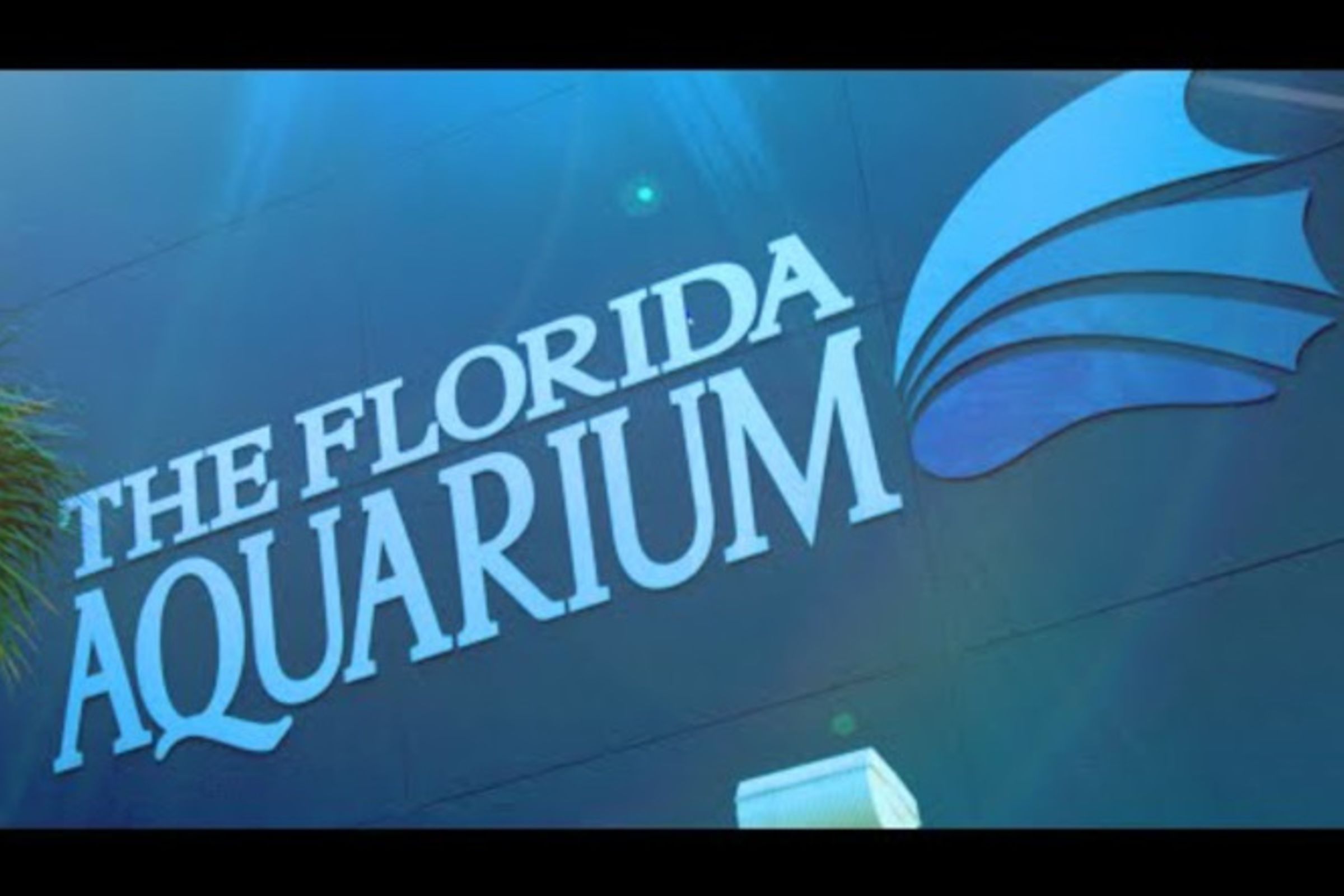 Welcome to The Florida Aquarium