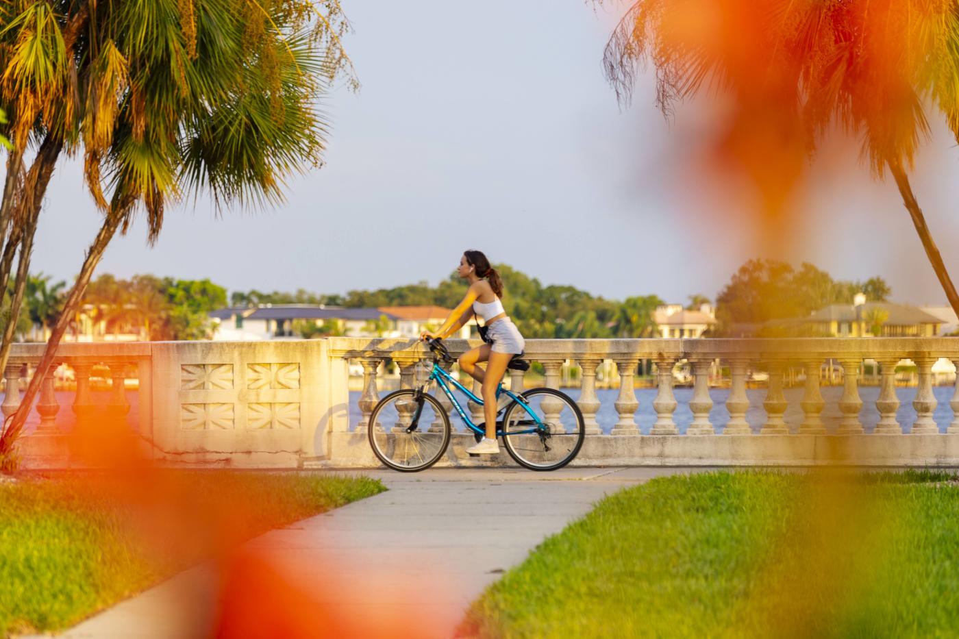 Bayshore Boulevard