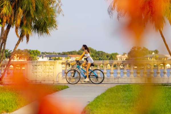 Bayshore Boulevard