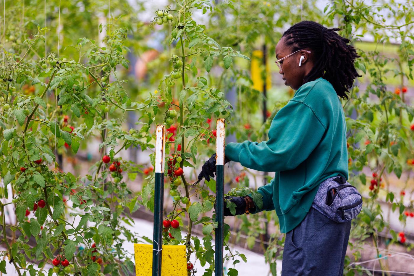 Meacham Urban Farm