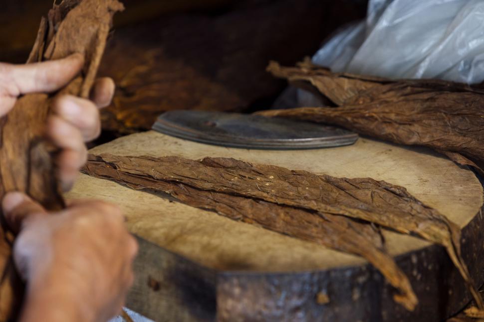 Drying tabaco on a table