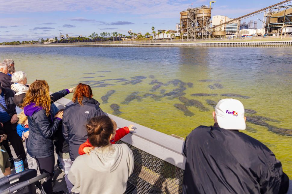 Manatee Viewing Center