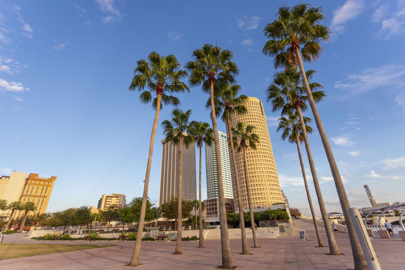 Curtis Hixon Park