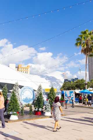 Winter Village Curtis Hixon Park