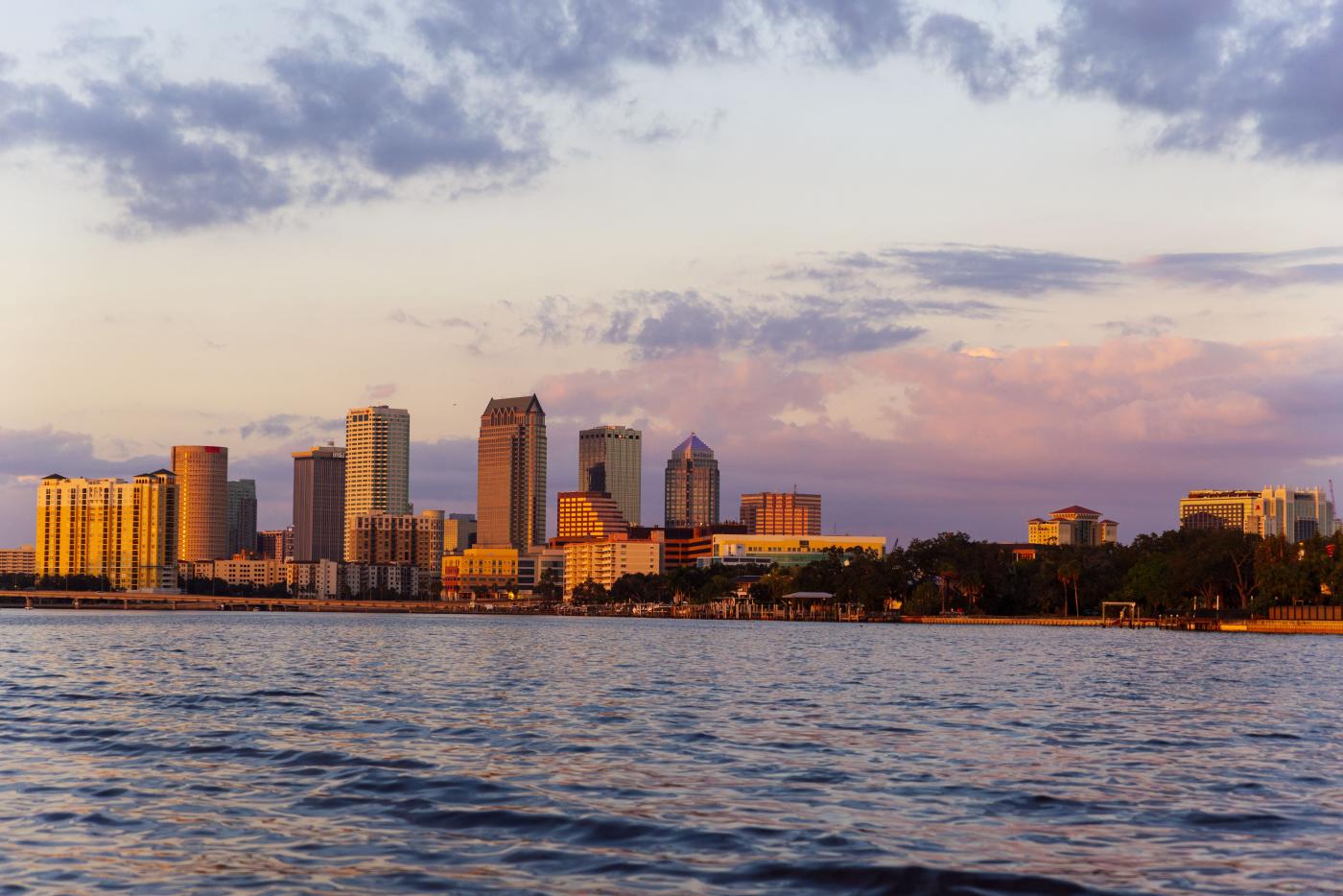 Tampa Skyline