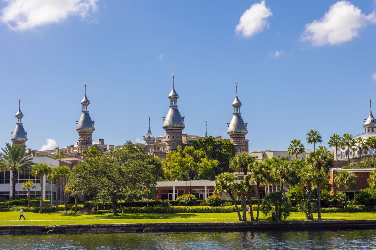 The University of Tampa