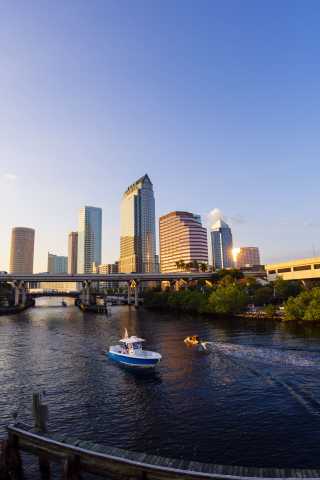 Downtown Tampa Skyline